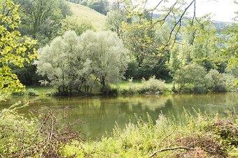 (c) Guillaume Perret